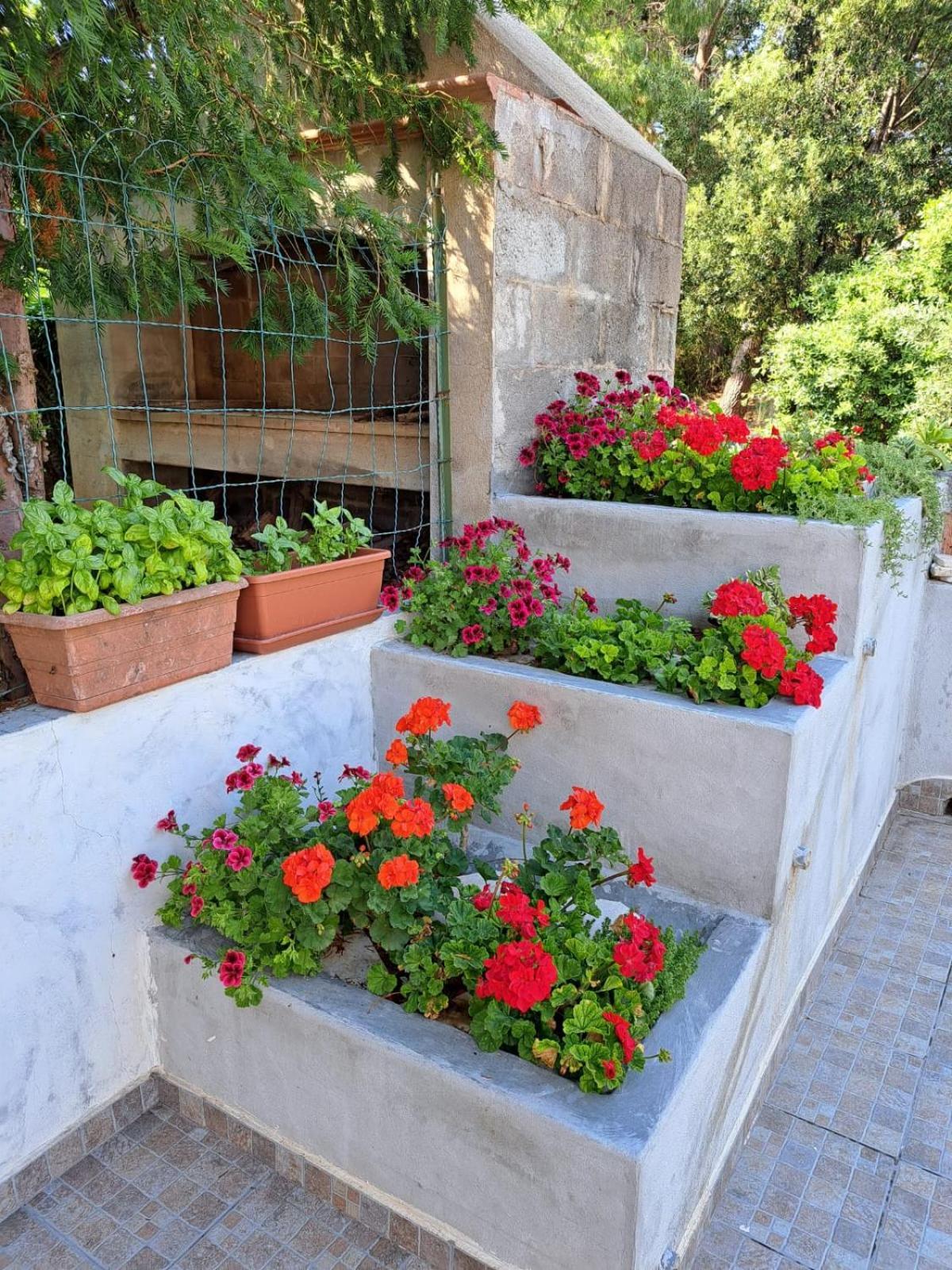 Domus De Mare Apartamento Cala Gonone Exterior foto