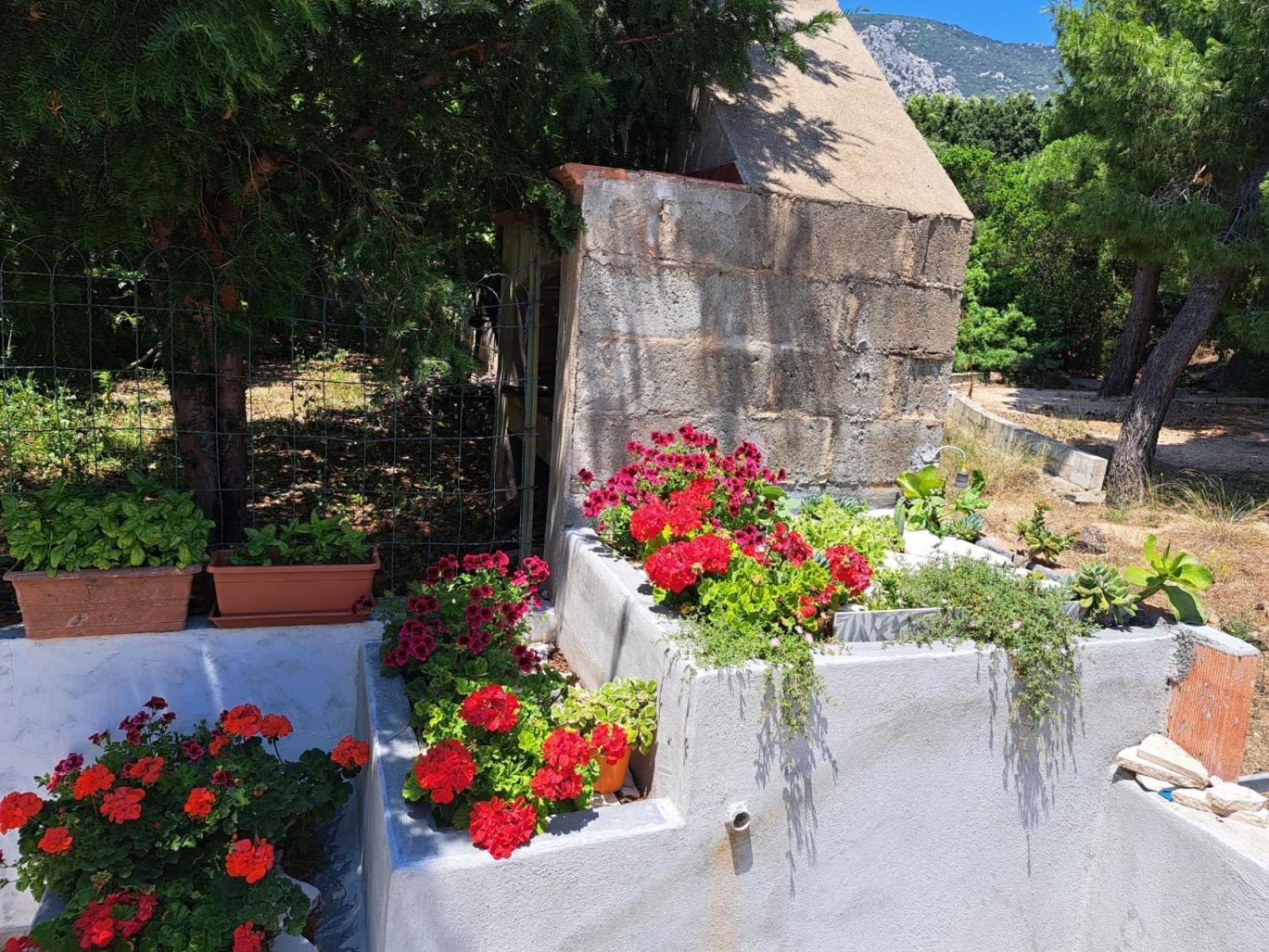 Domus De Mare Apartamento Cala Gonone Exterior foto